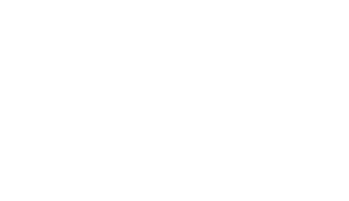 VeoLite-logo-white