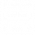 Buses Buses