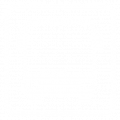 Commercial Buses Commercial Buses